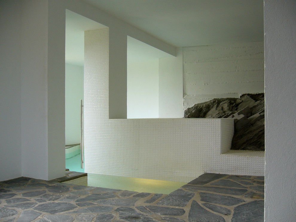 Свежая идея для дизайна: естественный бассейн среднего размера, произвольной формы в современном стиле с покрытием из каменной брусчатки - отличное фото интерьера