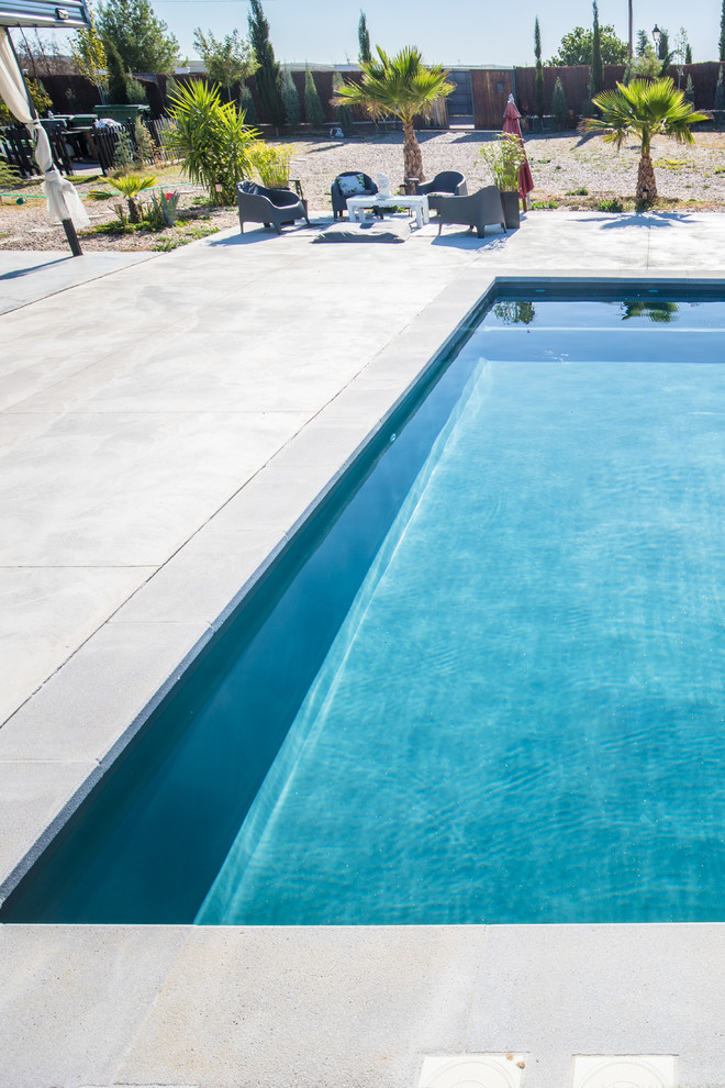 Стильный дизайн: большой бассейн в стиле модернизм - последний тренд