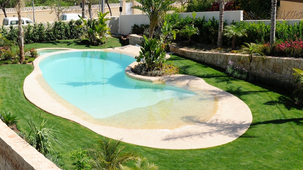 Esempio di una piscina naturale tropicale di medie dimensioni