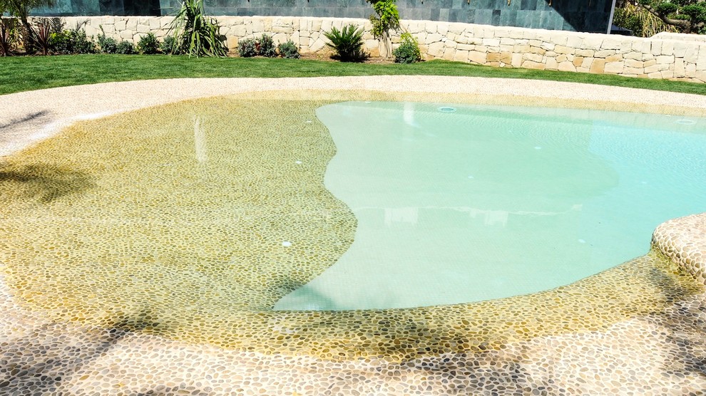 Modelo de piscina natural exótica de tamaño medio
