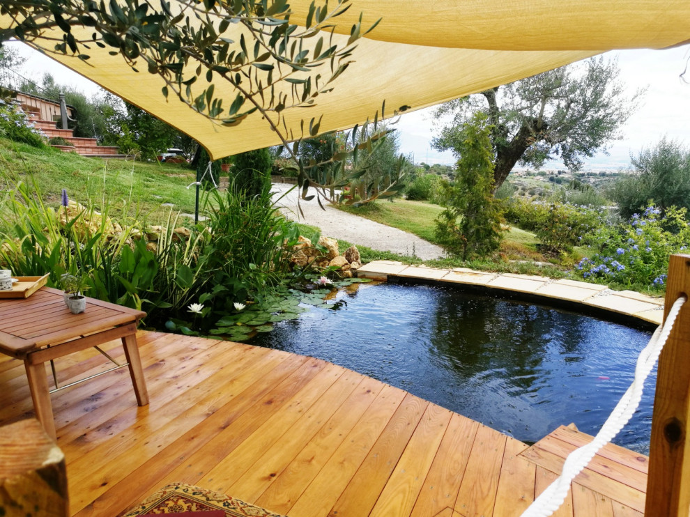 Foto di una piccola piscina naturale mediterranea personalizzata davanti casa con paesaggistica bordo piscina