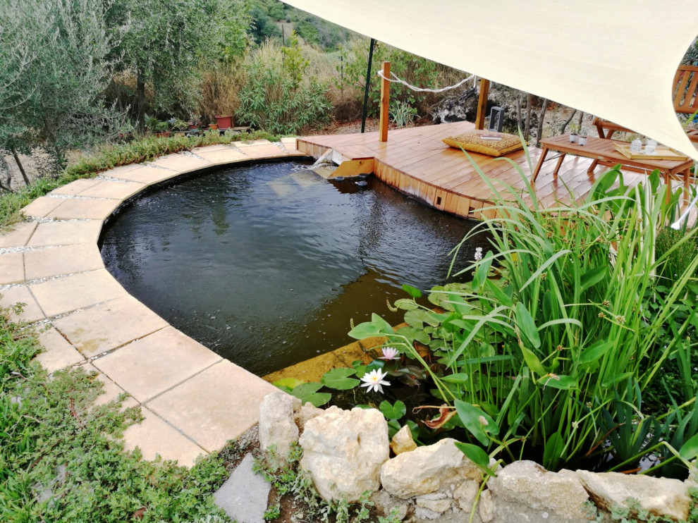 Imagen de piscina natural mediterránea pequeña a medida en patio delantero con paisajismo de piscina