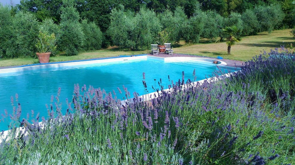 Casa Angelica Farmhouse Pool Rome by Pasquale Comegna Houzz