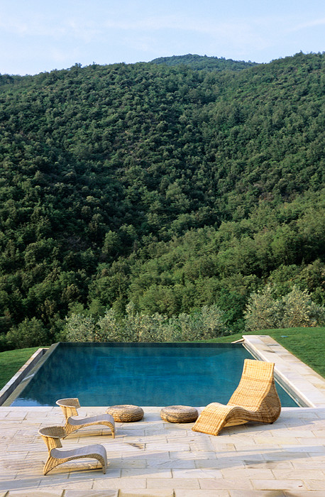 Пример оригинального дизайна: большой прямоугольный бассейн-инфинити на заднем дворе в стиле кантри