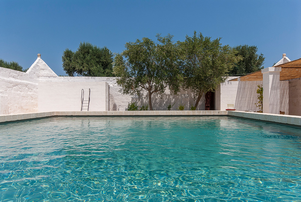 Idee per una grande piscina mediterranea rettangolare dietro casa