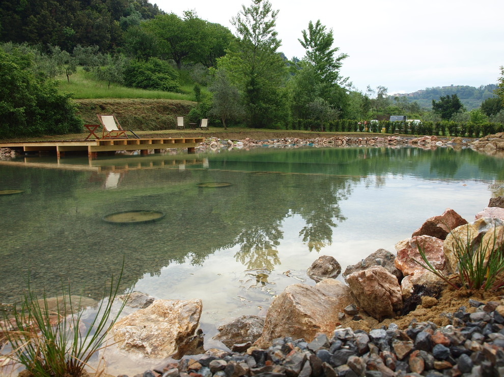 Idées déco pour une grande piscine naturelle et arrière campagne sur mesure avec des pavés en pierre naturelle.
