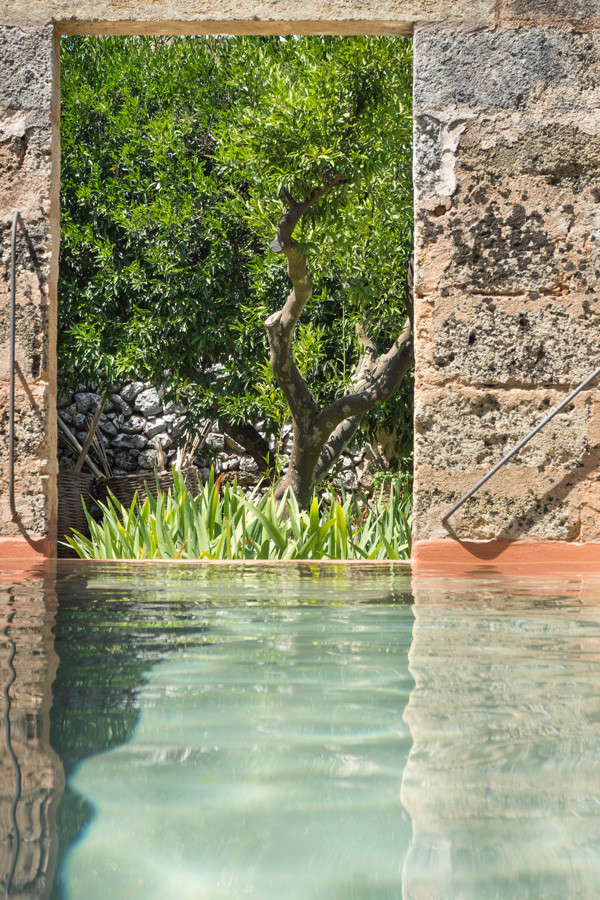 Esempio di una grande piscina a sfioro infinito mediterranea rettangolare in cortile con pavimentazioni in pietra naturale