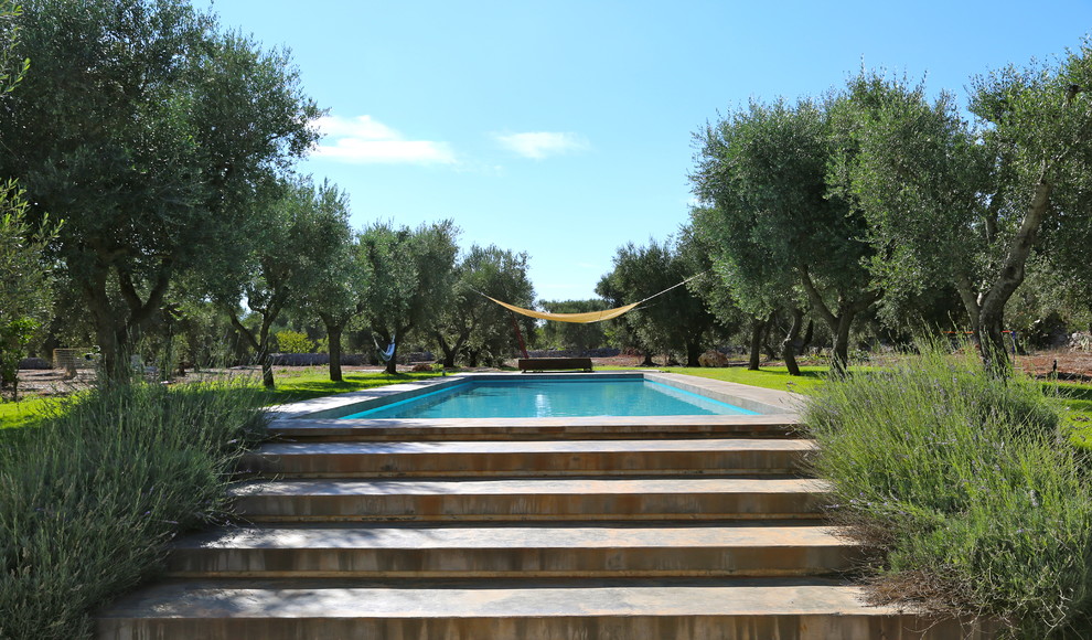 Immagine di una grande piscina monocorsia mediterranea rettangolare in cortile