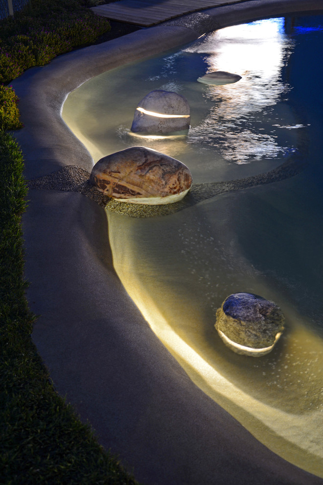 Пример оригинального дизайна: естественный бассейн произвольной формы на переднем дворе в морском стиле