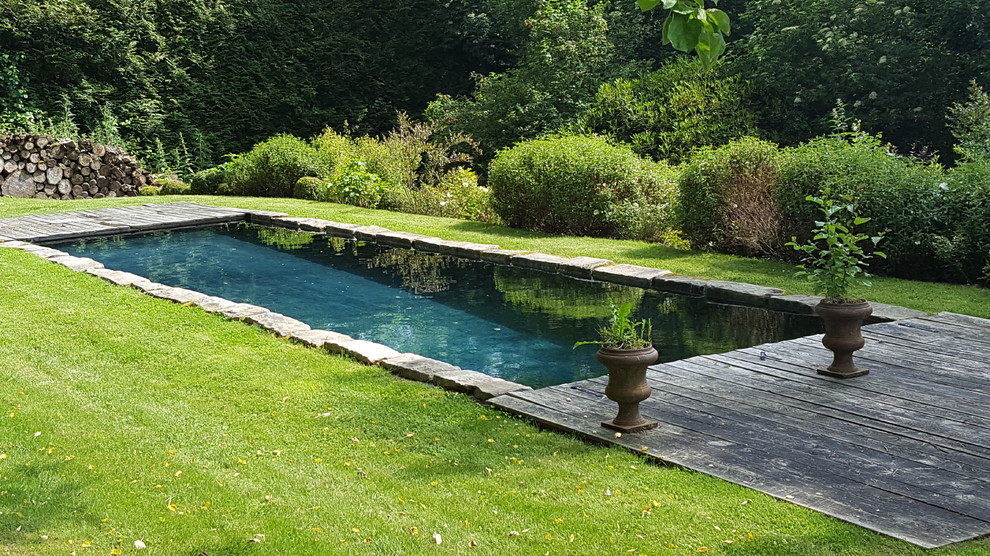 Modelo de piscina alargada tradicional de tamaño medio rectangular en patio trasero con entablado