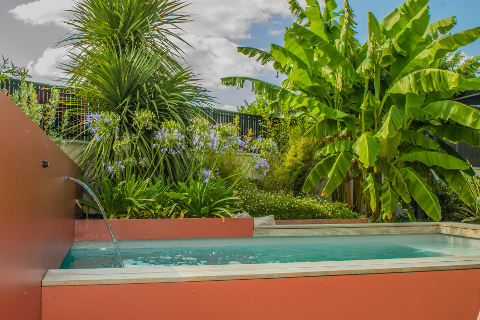 Diseño de piscina tropical pequeña rectangular en patio trasero con suelo de baldosas