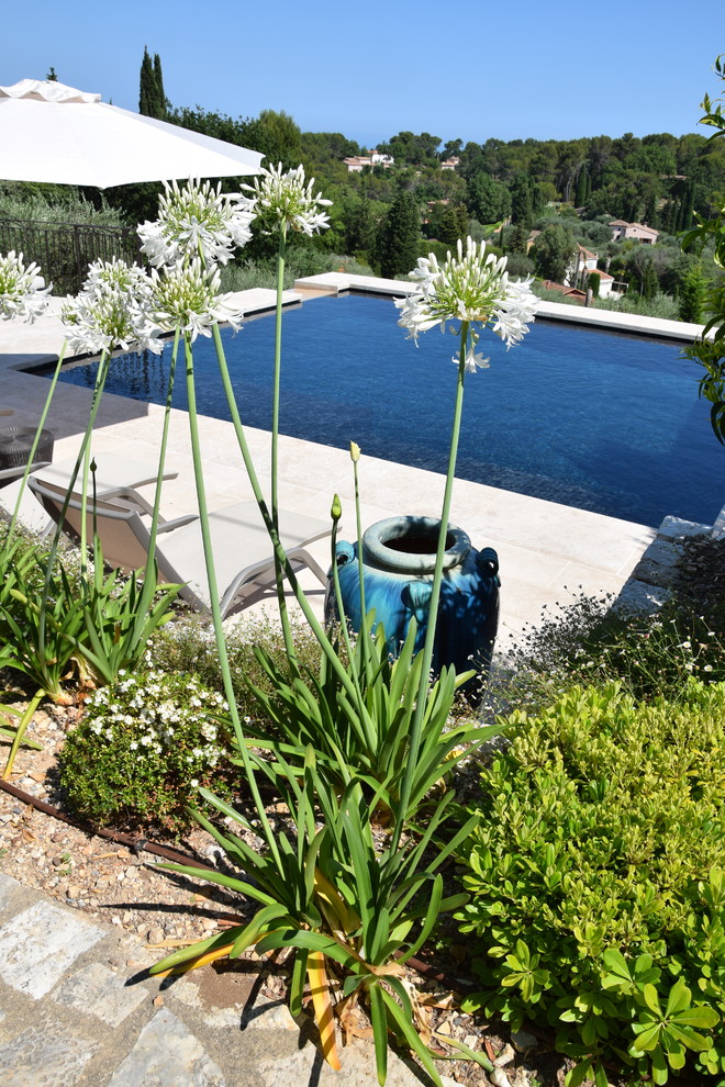 Ejemplo de piscina infinita contemporánea pequeña rectangular en patio delantero con adoquines de piedra natural
