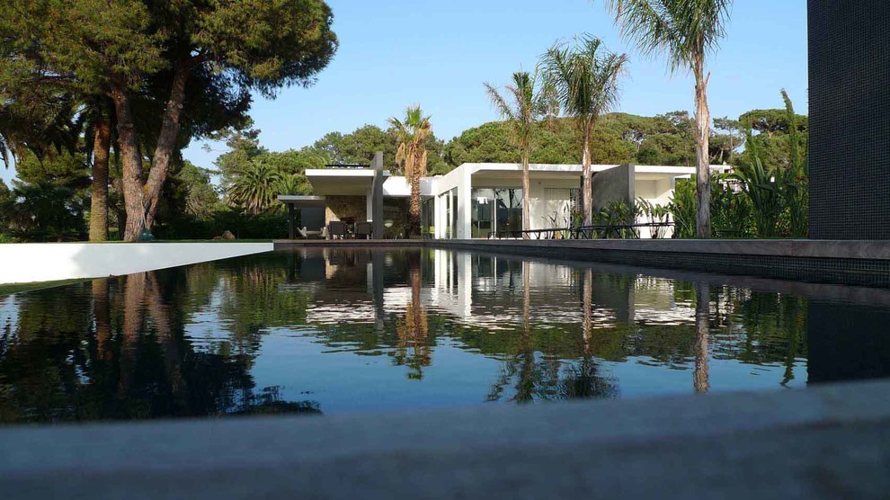 Modelo de piscina contemporánea grande rectangular en patio trasero