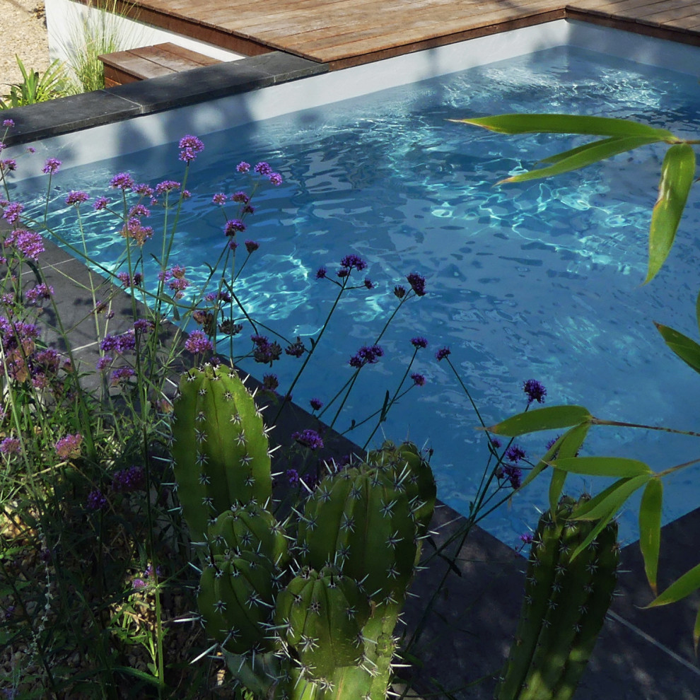Стильный дизайн: маленький бассейн произвольной формы на заднем дворе в современном стиле для на участке и в саду - последний тренд