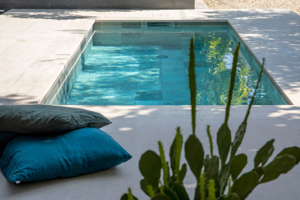 Cette image montre une petite piscine minimaliste rectangle avec du carrelage.
