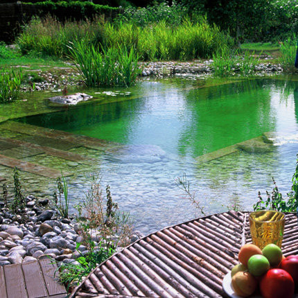 Exemple d'une piscine naturelle nature de taille moyenne et rectangle avec un point d'eau et des pavés en béton.
