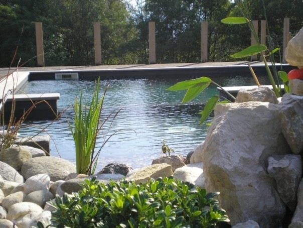 Esempio di una grande piscina naturale contemporanea rettangolare con fontane e pavimentazioni in cemento
