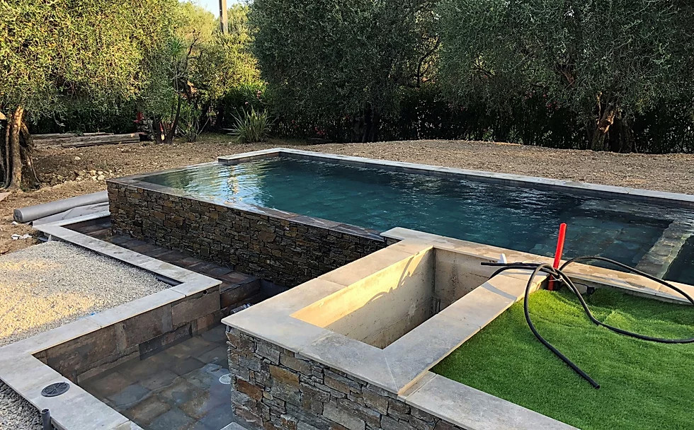 Imagen de piscina alargada contemporánea de tamaño medio rectangular con paisajismo de piscina
