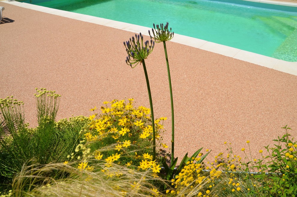 Свежая идея для дизайна: большой естественный, прямоугольный бассейн на переднем дворе в средиземноморском стиле с покрытием из гранитной крошки - отличное фото интерьера
