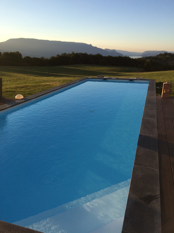 Immagine di una grande piscina monocorsia design rettangolare davanti casa con una dépendance a bordo piscina e pedane