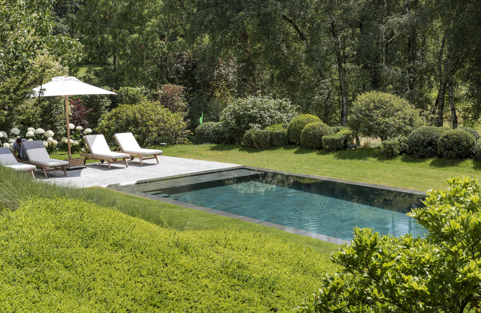 Réalisation d'une piscine arrière et à débordement design de taille moyenne et rectangle avec une terrasse en bois.