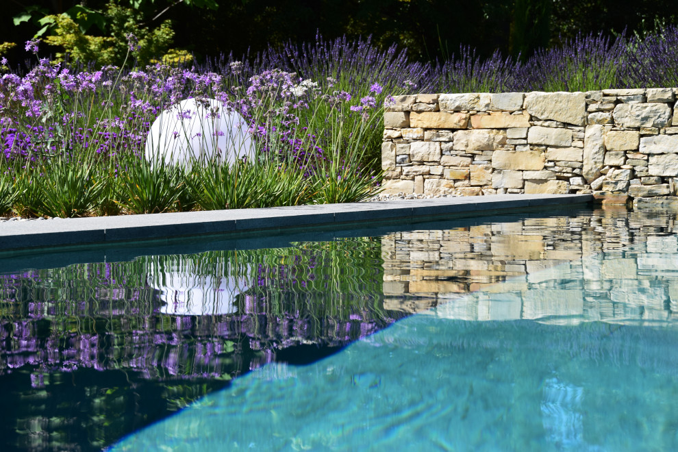 Immagine di una grande piscina a sfioro infinito minimal rettangolare con pedane