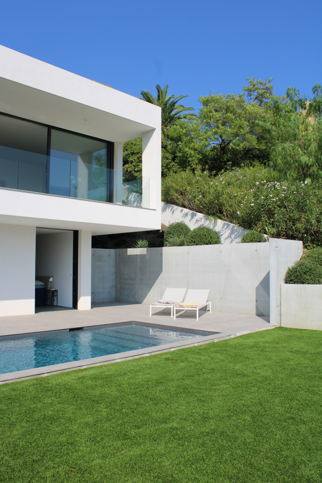 Ispirazione per una piscina monocorsia minimal rettangolare davanti casa con paesaggistica bordo piscina