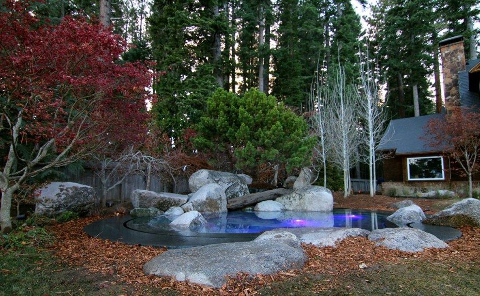Idee per una piccola piscina naturale stile americano personalizzata dietro casa