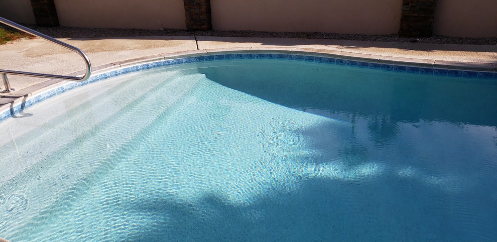 Imagen de piscina natural mediterránea de tamaño medio tipo riñón en patio trasero con losas de hormigón