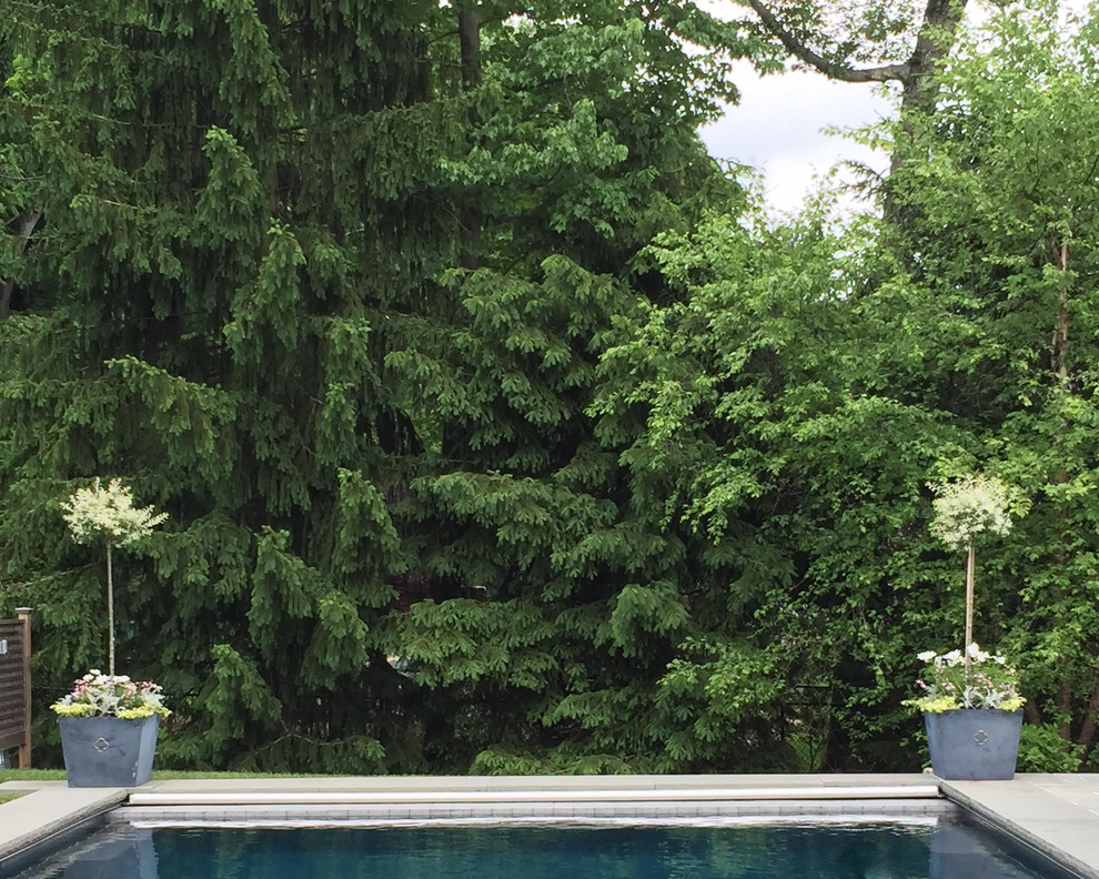 Idées déco pour une grande piscine arrière classique rectangle avec des pavés en pierre naturelle.