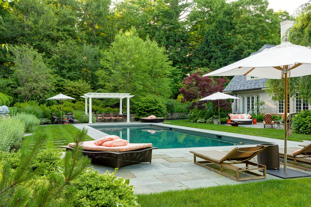 Modelo de piscina clásica extra grande rectangular en patio trasero
