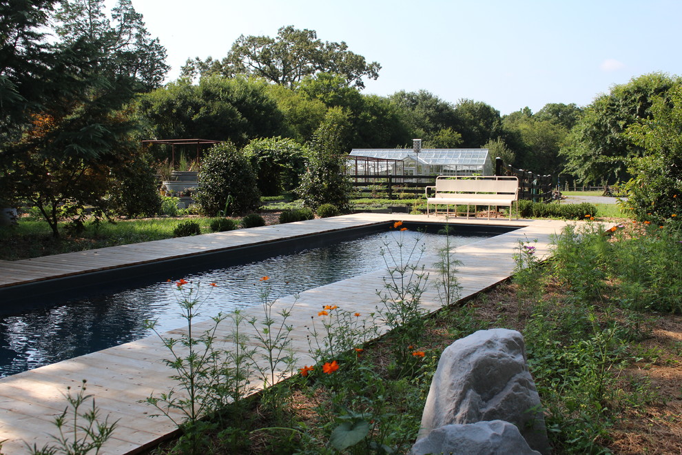 Cette image montre une grande piscine naturelle et arrière chalet en L avec un bain bouillonnant et une terrasse en bois.