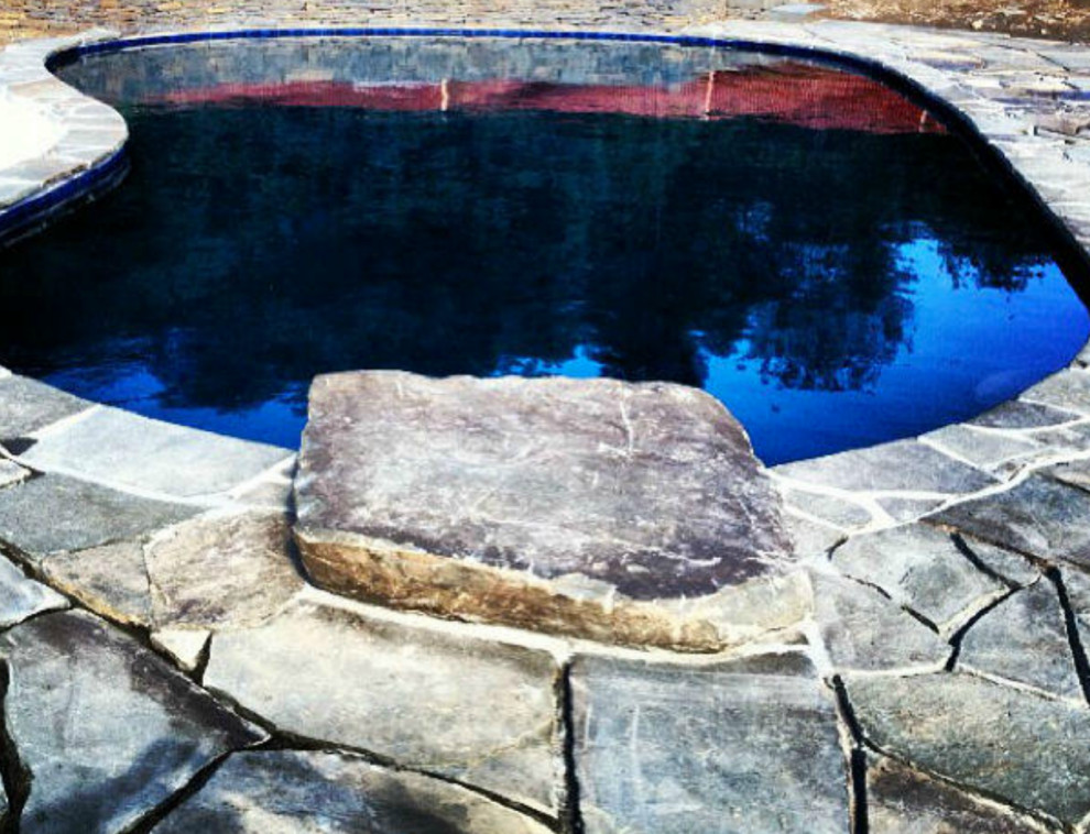 Contemporary back kidney-shaped natural swimming pool in New York with with pool landscaping and natural stone paving.