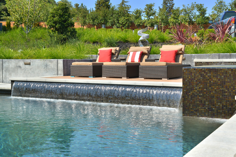 Geräumiger Moderner Pool hinter dem Haus in individueller Form mit Betonboden in San Francisco