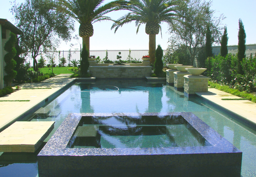 Cette image montre une piscine méditerranéenne rectangle.