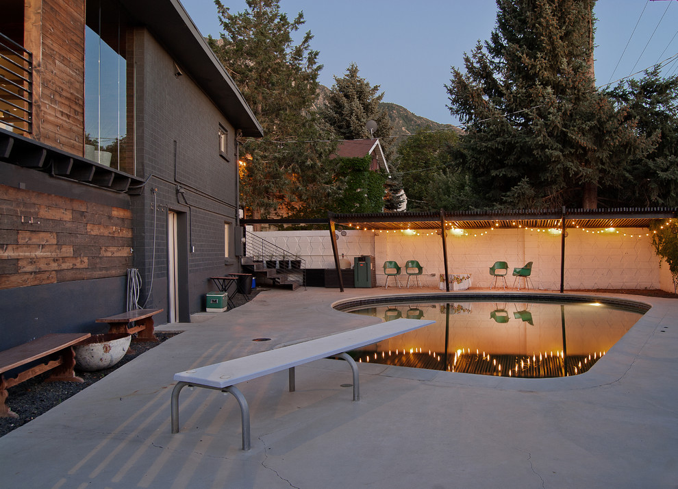 Imagen de piscina alargada contemporánea de tamaño medio a medida en patio trasero con losas de hormigón