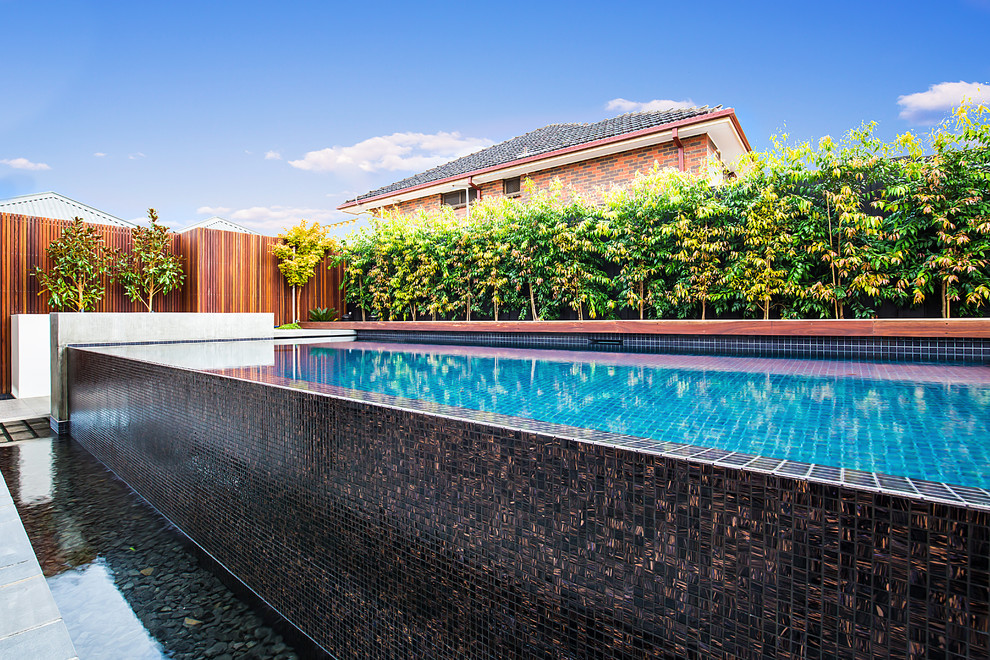 Ascot Vale Project Modern Pool Melbourne by Apex Landscapes
