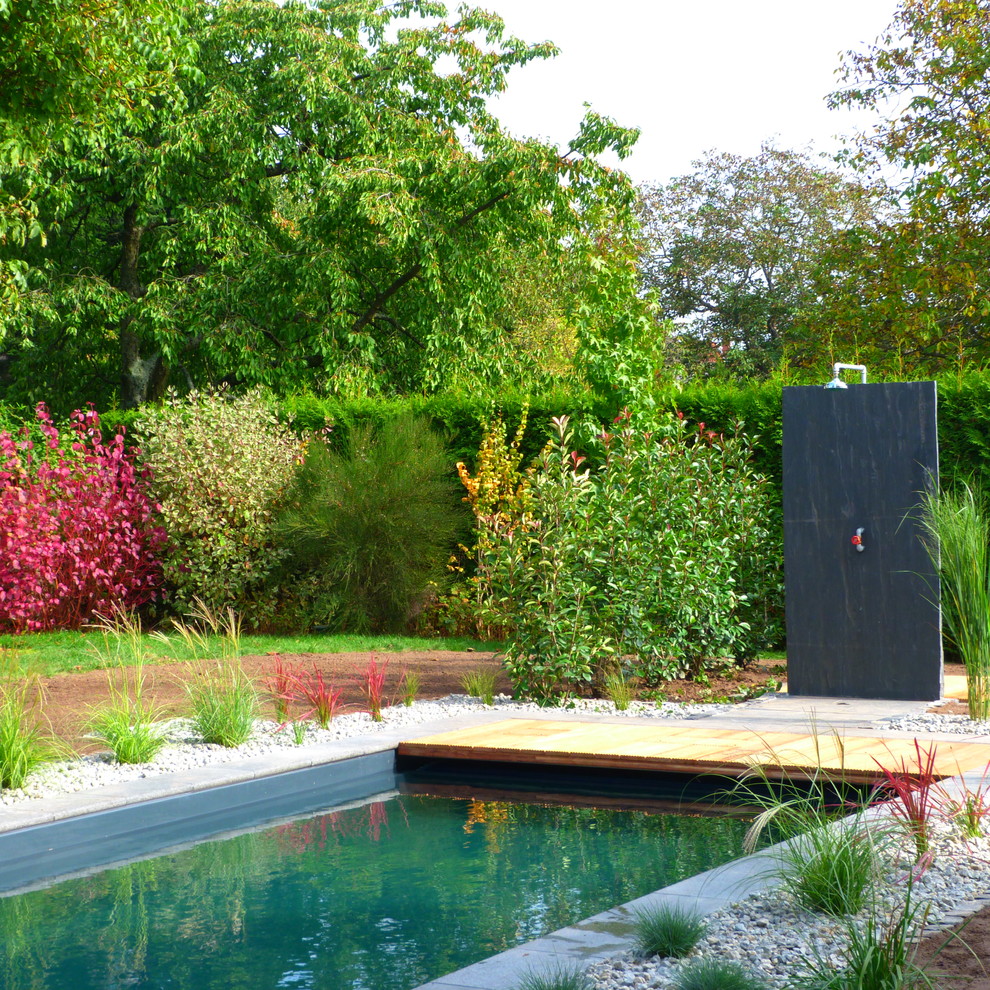 Idée de décoration pour une piscine naturelle design rectangle.