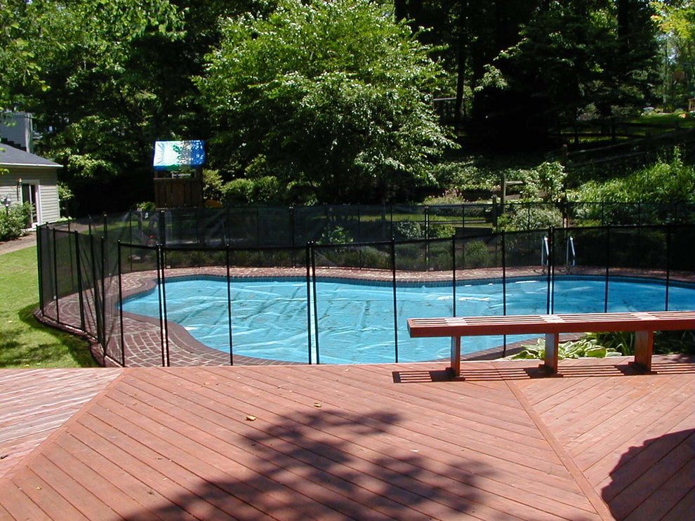 Photo of a medium sized classic back custom shaped natural swimming pool in Philadelphia.