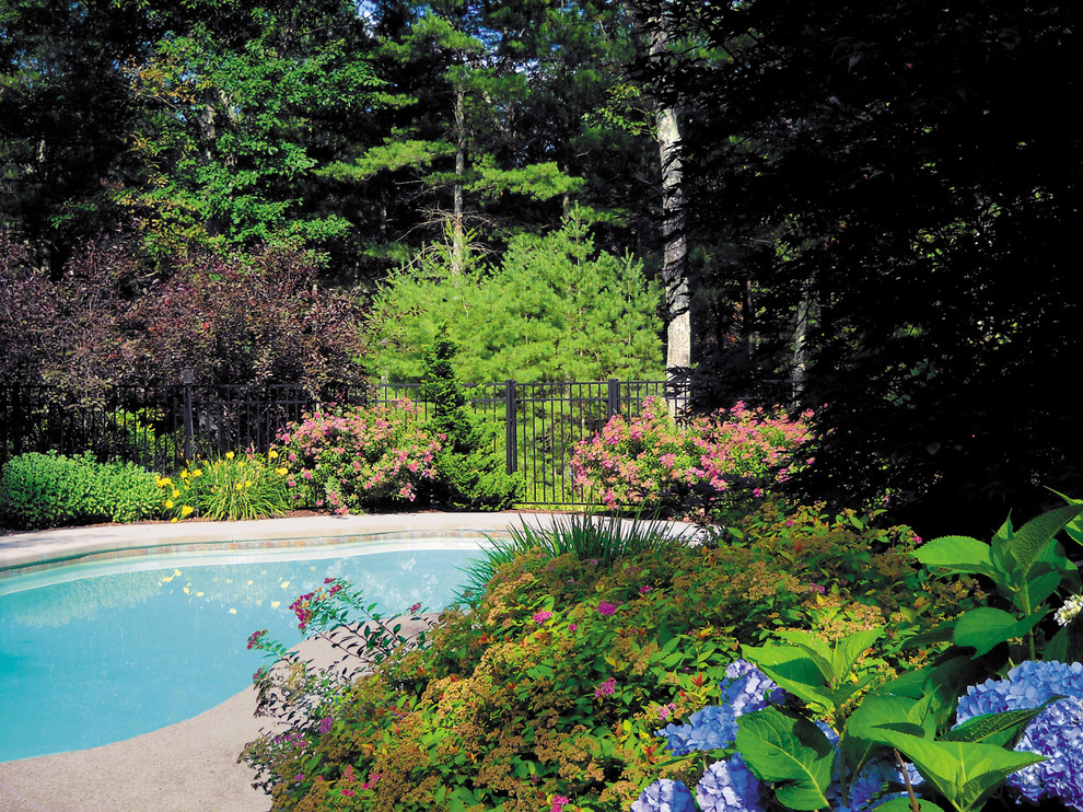 Pool - mid-sized traditional backyard concrete and custom-shaped pool idea in Providence