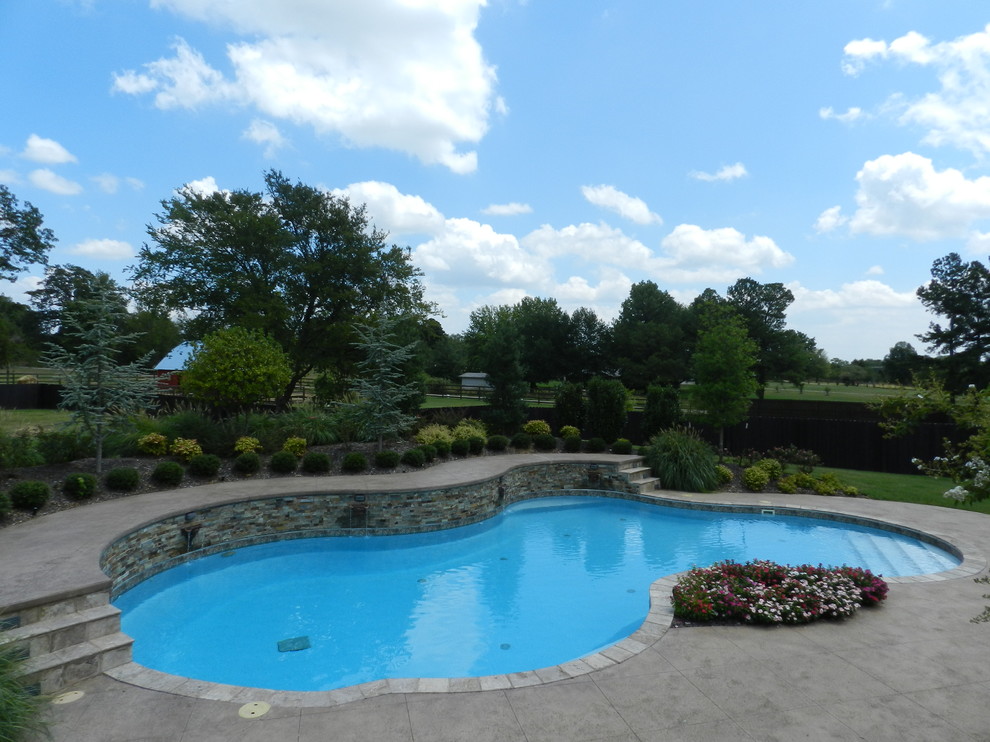 Backyard Paradise Modern Pool Other by BURTON POOLS & SPAS Houzz