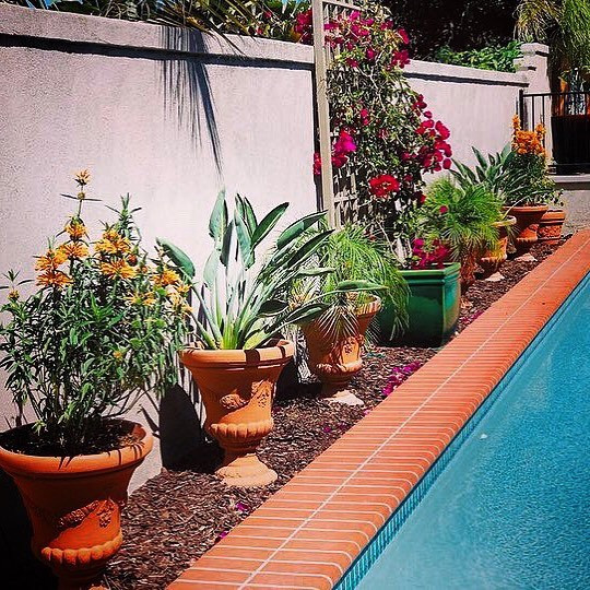 Ejemplo de piscina alargada mediterránea pequeña rectangular en patio trasero con paisajismo de piscina y adoquines de ladrillo