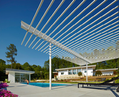 Foto di una piscina monocorsia moderna rettangolare di medie dimensioni e dietro casa con una dépendance a bordo piscina e lastre di cemento