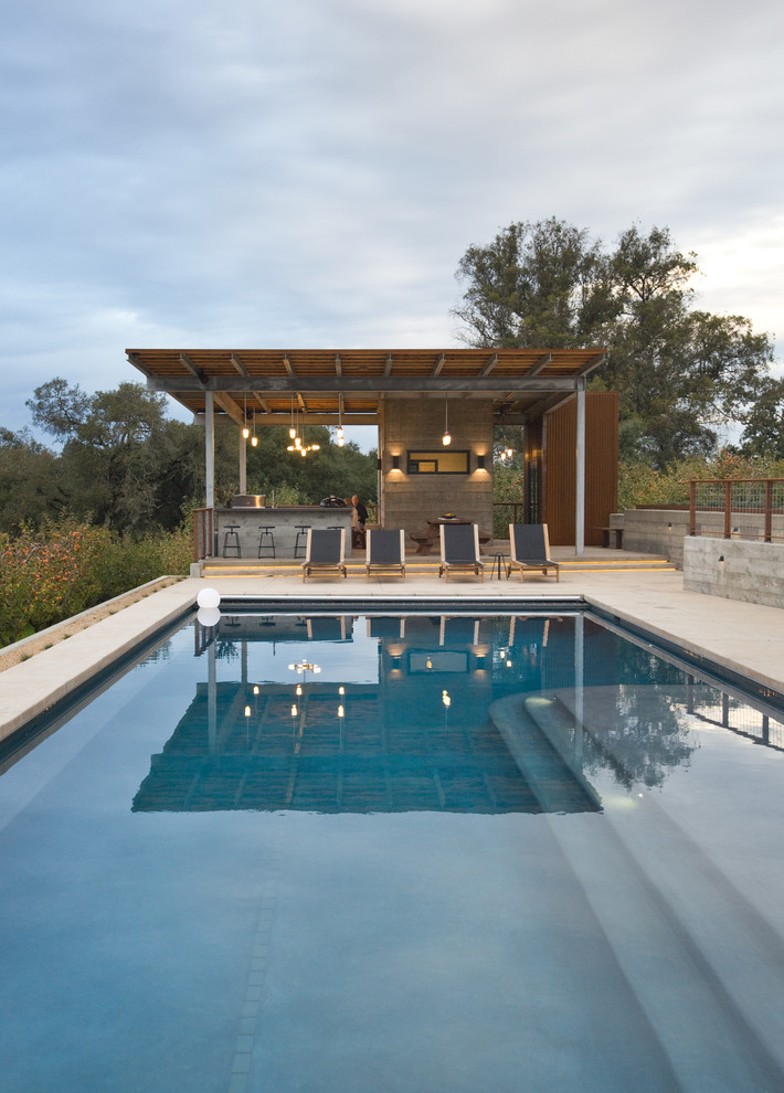 Пример оригинального дизайна: большой спортивный, прямоугольный бассейн на заднем дворе в стиле модернизм с зоной барбекю