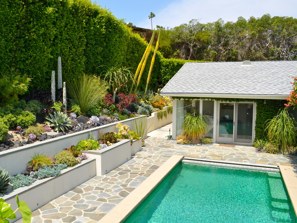 Mittelgroßes Modernes Sportbecken hinter dem Haus in rechteckiger Form mit Natursteinplatten in Los Angeles