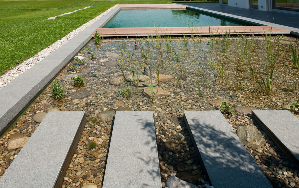 Design ideas for a modern swimming pool in Munich.