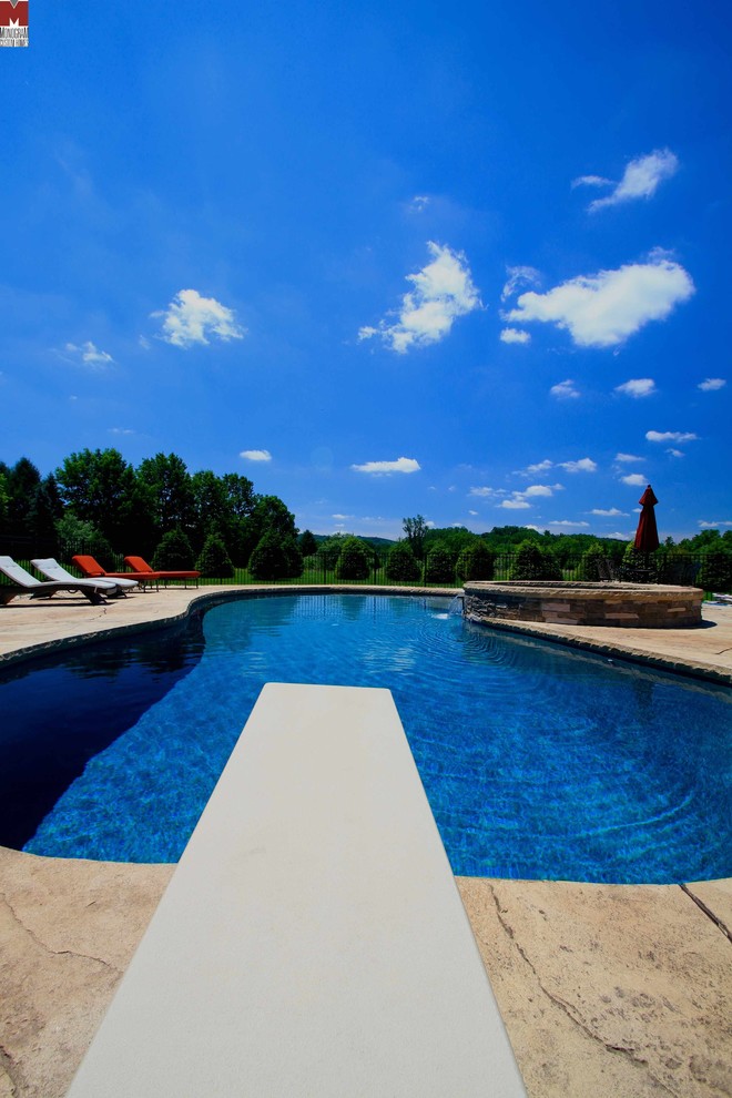 Beautiful Custom Freeform style salt water pool with raised spa