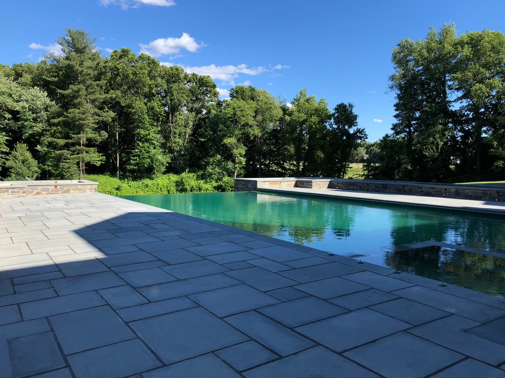 Foto de piscina infinita actual rectangular en patio trasero con paisajismo de piscina y adoquines de piedra natural