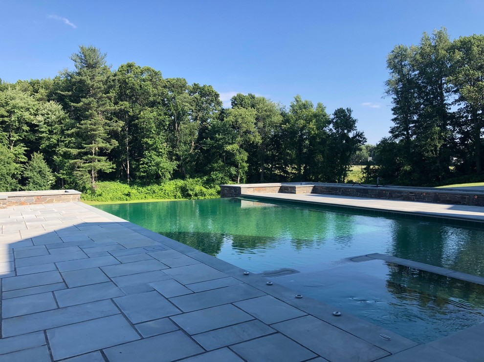 Immagine di una piscina a sfioro infinito design rettangolare dietro casa con paesaggistica bordo piscina e pavimentazioni in pietra naturale