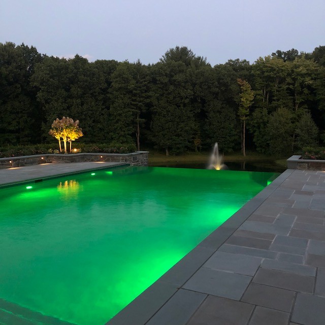 Esempio di una piscina a sfioro infinito contemporanea rettangolare dietro casa con paesaggistica bordo piscina e pavimentazioni in pietra naturale